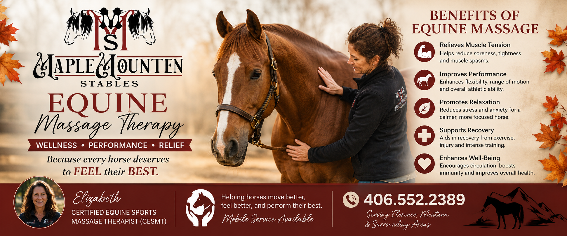 Equine Sports Massage Therapy
